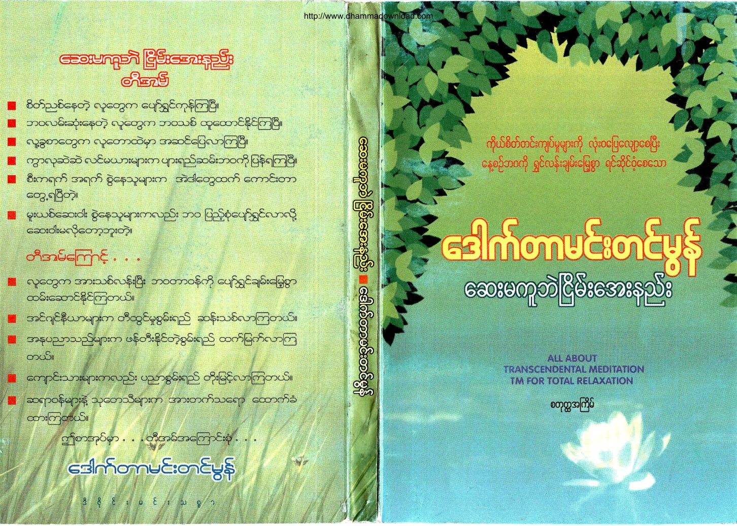DrMhemTinMon-SayMaKuBairNyeinAyeNyee.pdf